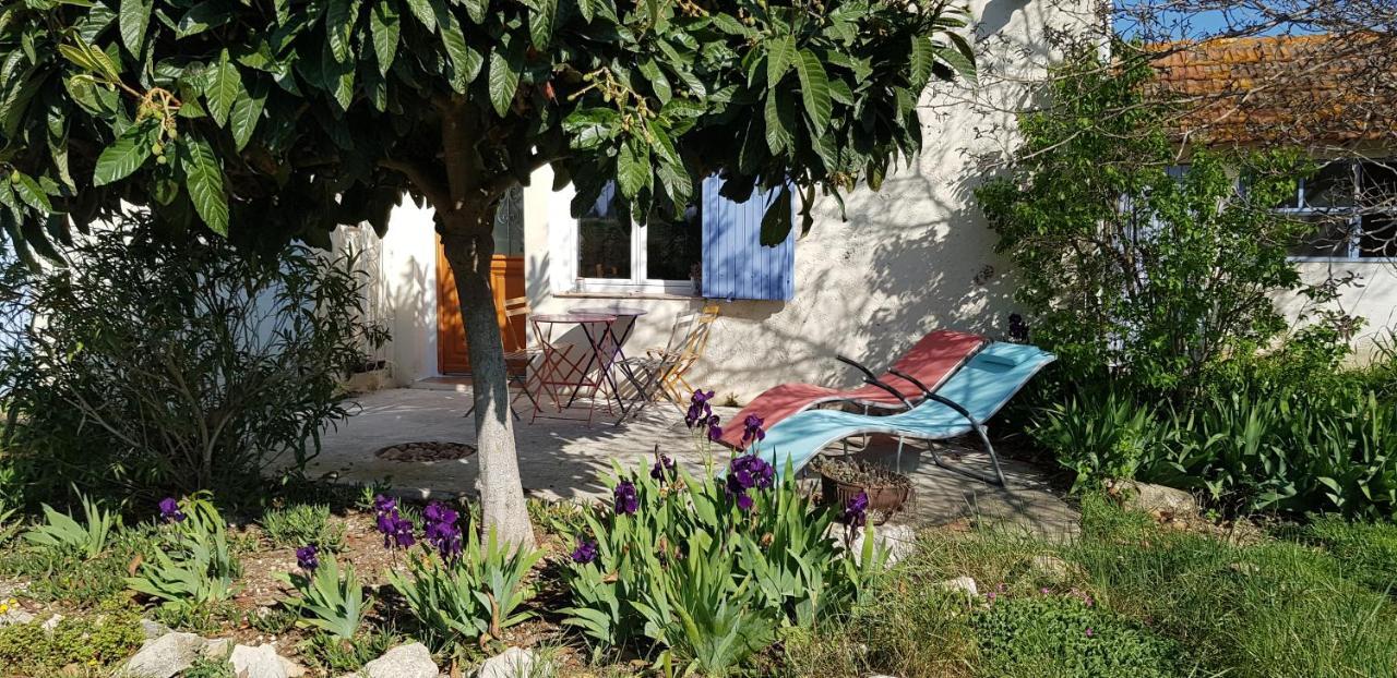 Petite Maison Refaite A Neuf Dans Mas Du 19Eme Siecle Arles Exterior foto